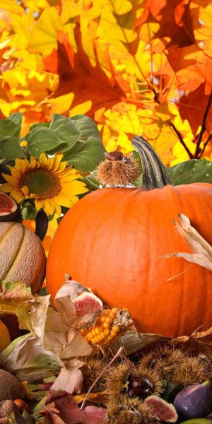 Thanksgiving Pumpkin Surrounded by Fall Leaves and Flowers