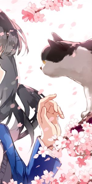 Charming anime wallpaper featuring a girl, cat, and cherry blossoms