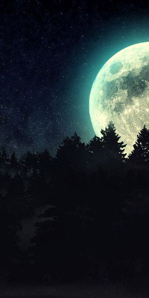 Captivating Silhouette of a Forest Under a Full Moon