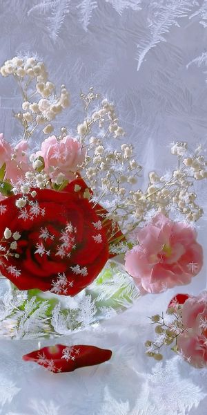 Amazing Floral Wallpaper with Red Roses and White Flowers