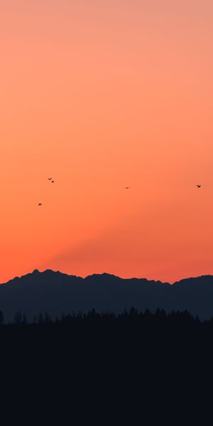 Breathtaking Mountain Sunset with Flying Birds