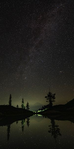 Breathtaking Night Sky with Stars and Tree Reflections