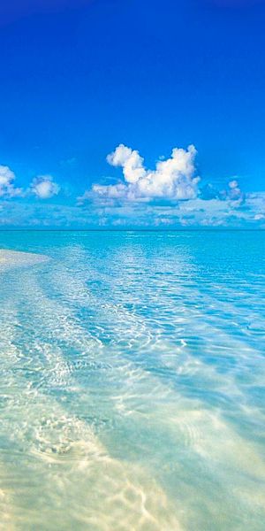 Tropical Beach with Turquoise Waters and Clear Sky Wallpaper