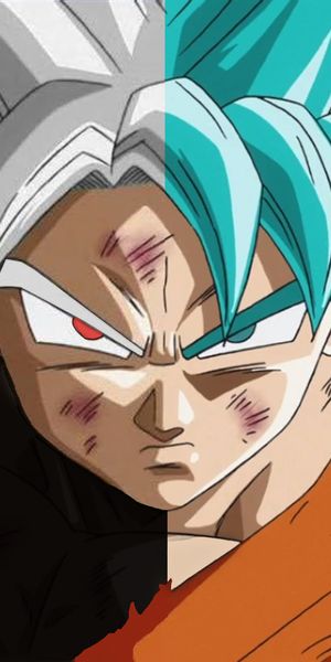 Black Goku vs. SSGSS Goku - Epic Dragon Ball Super Wallpaper