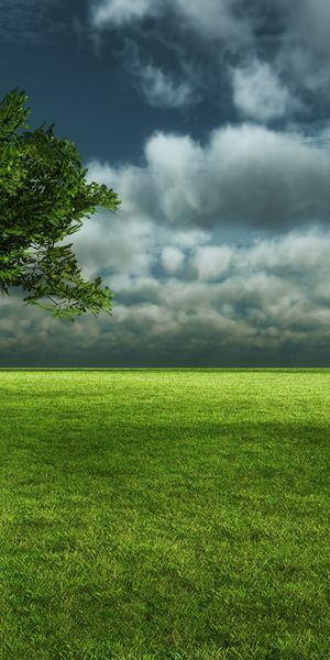 Landscape with a Green Tree Under a Dramatic Sky