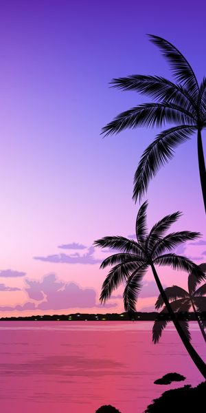 A Beautiful Sunset Over Palm Trees and the Ocean
