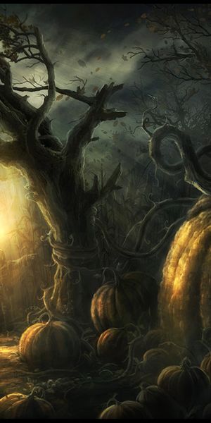 Enchanting Nighttime Forest with Giant Pumpkins - Phone Wallpaper