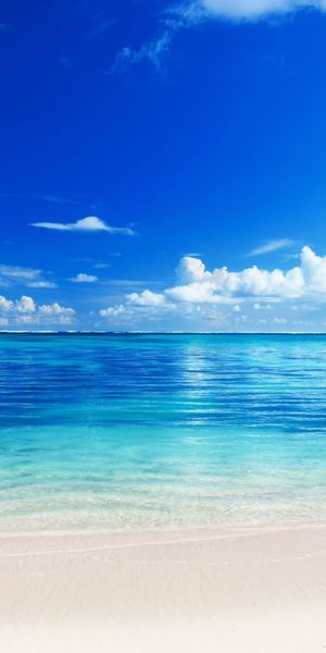 Beautiful Tropical Beach with Crystal Clear Waters