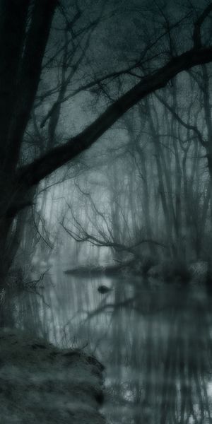Dark Artistic Swamp Nature Wallpaper for Your Phone