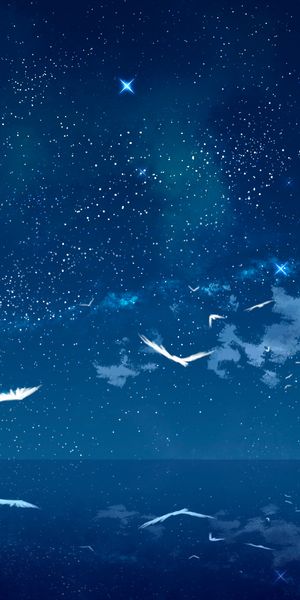 Anime Wallpaper Featuring Birds Against a Starry Sky