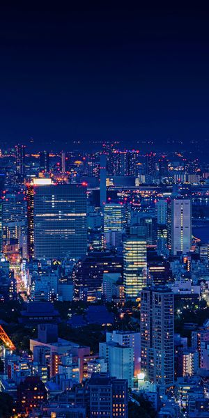 Breathtaking Night View of Tokyo Tower in Japan