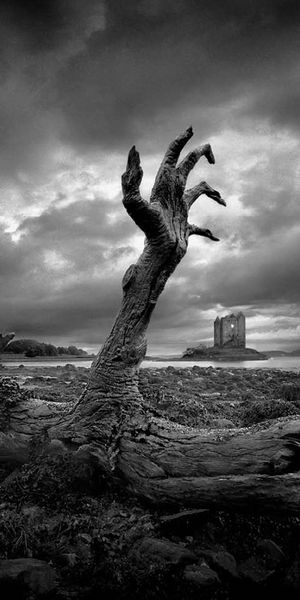 Surreal Dark Landscape Featuring a Gnarled Tree and Castle