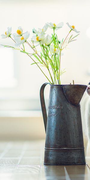 Phone wallpaper: Parquet, Kitty, Kitten, Animals, Vase, Flowers free download