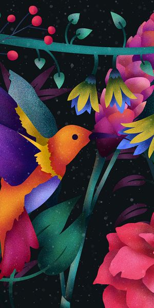 Colorful Hummingbirds Surrounded by Flowers Wallpaper