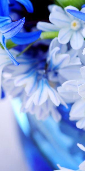 Charming Pastel Floral Phone Wallpaper Featuring Blue and White Blooms