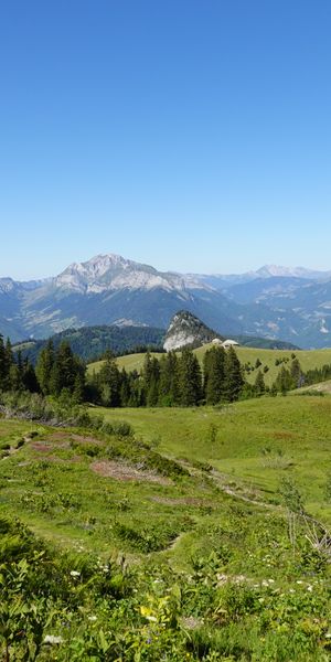 Breathtaking Mountain View with Vibrant Greenery and Trees