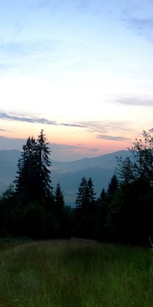 Phone wallpaper: Sunset, Trees, Landscape, Mountains free download