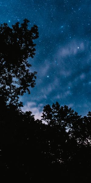 Phone wallpaper: Clouds, Stars, Trees, Starry Sky, Nature, Night, Dark free download