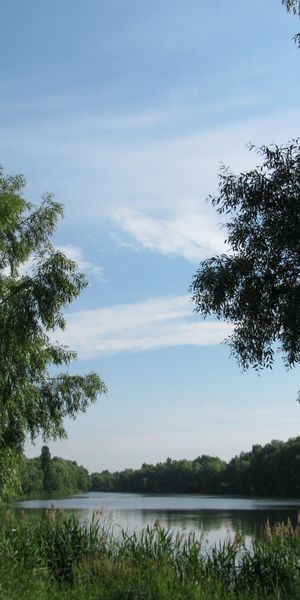 Phone wallpaper: Rivers, Holidays, Trees free download