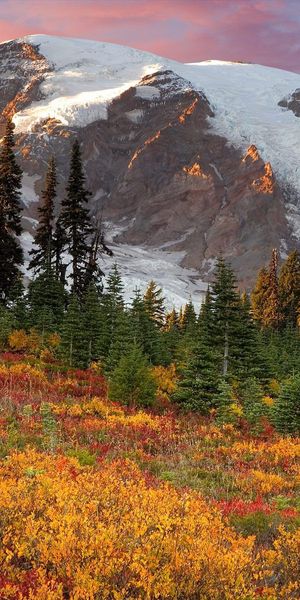 Breathtaking Autumn Mountainscape with Colorful Trees and Snow