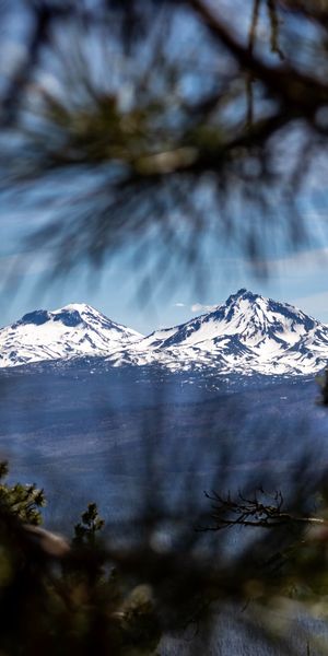 Phone wallpaper: View, Tops, Vertex, Nature, Branches, Mountains, Landscape free download