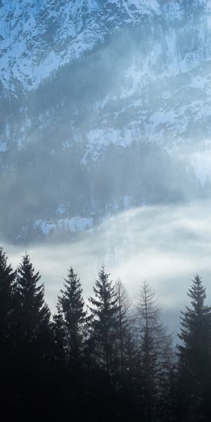 Majestic Mountain Landscape with Snow and Fog