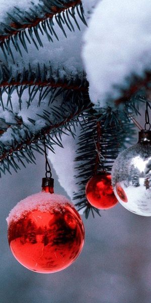 Beautiful 4K phone wallpaper featuring snowy Christmas tree branches and ornaments