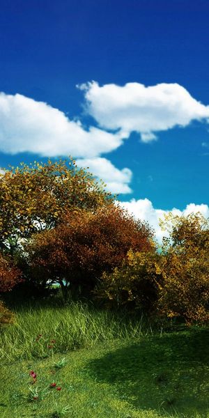 Phone wallpaper: Trees, Meadow, Field, Photography, Tree, Flower, Earth, Cloud, Sky, Landscape free