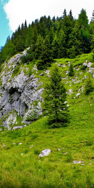 Breathtaking Mountain Landscape with Vibrant Green Forest and Blue Sky