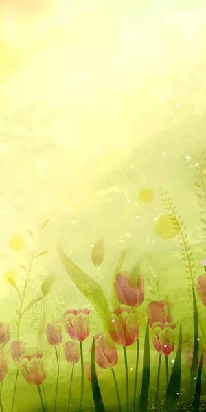 Phone wallpaper: Sujash, Flowers, Flower, Artistic free download