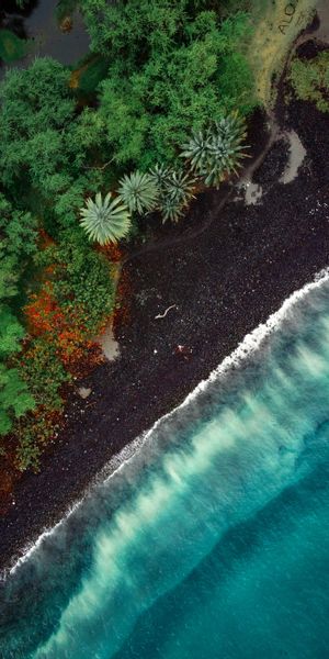 Aerial View of a Serene Beach with Lush Green Trees
