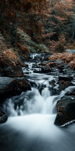 Phone wallpaper: Stream, Rocks, Stones, Trees, Waterfall, Flow, Nature free download