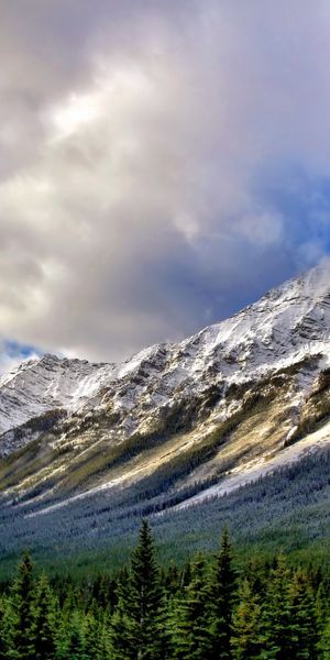 Phone wallpaper: Mountains, Forest, Nature, Mountain, Earth, Cloud, Landscape free download
