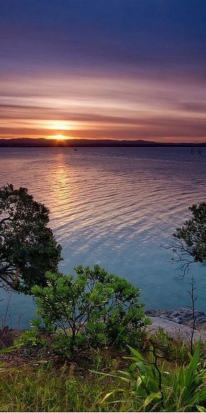 Beautiful Sunset Over Calm Waters - Perfect Mobile Wallpaper