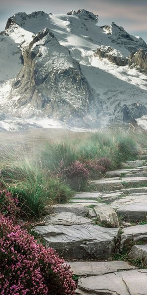 Breathtaking mountain landscape with a flower-lined path and fog - free mobile wallpaper