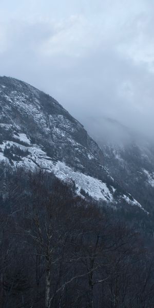 Phone wallpaper: Mountains, Fog, Forest, Mountain, Earth free download