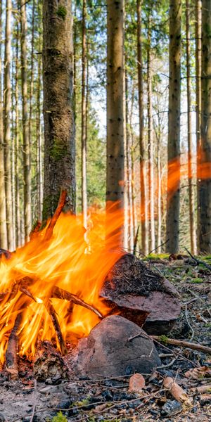 Phone wallpaper: Camping, Miscellanea, Miscellaneous, Trees, Forest, Campsite, Bonfire, Flame, Firew