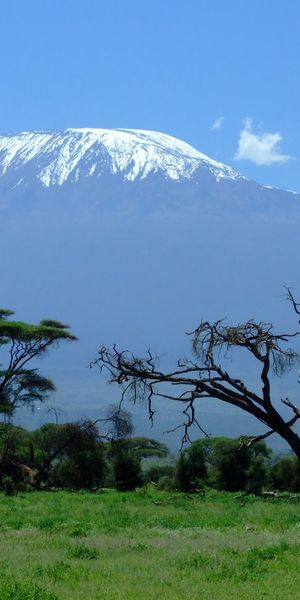 Breathtaking View of Mount Kilimanjaro in Africa