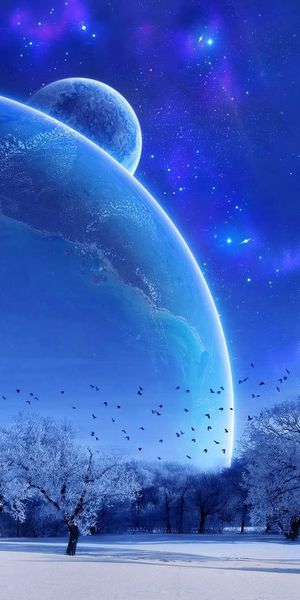 Enchanting Winter Landscape Under a Full Moon