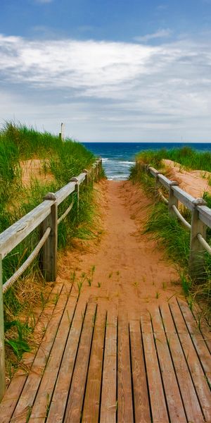 Beautiful beach pathway wallpaper: a serene escape for your phone