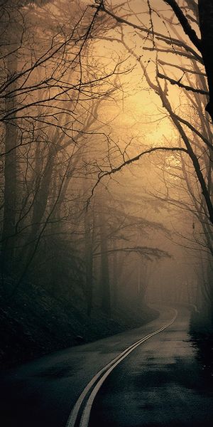 Phone wallpaper: Night, Dark, Road, Forest free download
