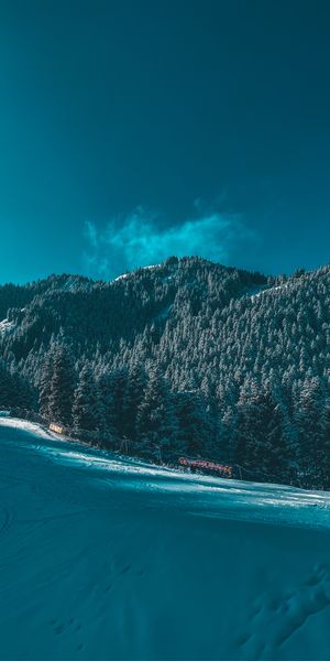 Beautiful Winter Landscape with Snowy Trees and Ski Trail