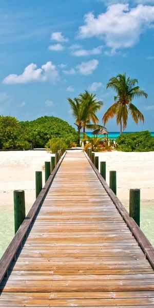 Beautiful Beach Landscape with Palm Trees and Wooden Bridge