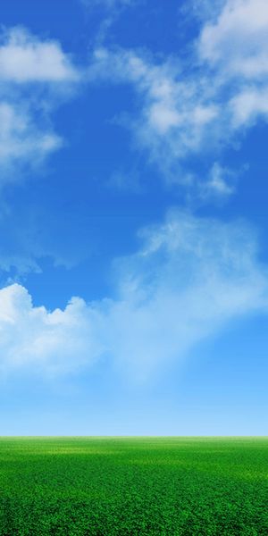Beautiful phone wallpaper featuring a serene landscape with trees and clouds