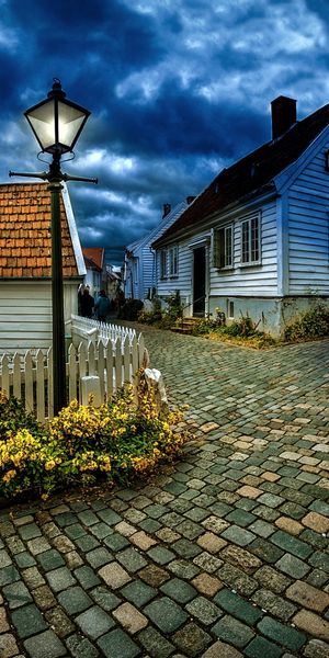 Charming Night Scene Featuring a Lamp Post and Cobblestone Pathway