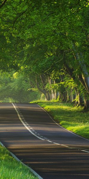 Phone wallpaper: Roads, Landscape, Trees free download