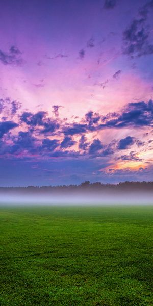 Breathtaking Sunrise Over a Foggy Field - Nature's Beauty