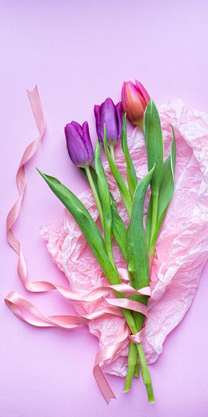 Phone wallpaper: Bouquet, Flowers, Purple, Pink, Violet, Tulips free download