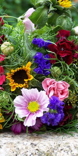 Phone wallpaper: Flowers, Graphically, Colorfully, Bouquet, Summer, Mood free download