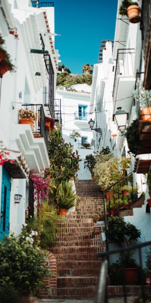 4k Lane with White Buildings and Colorful Plants